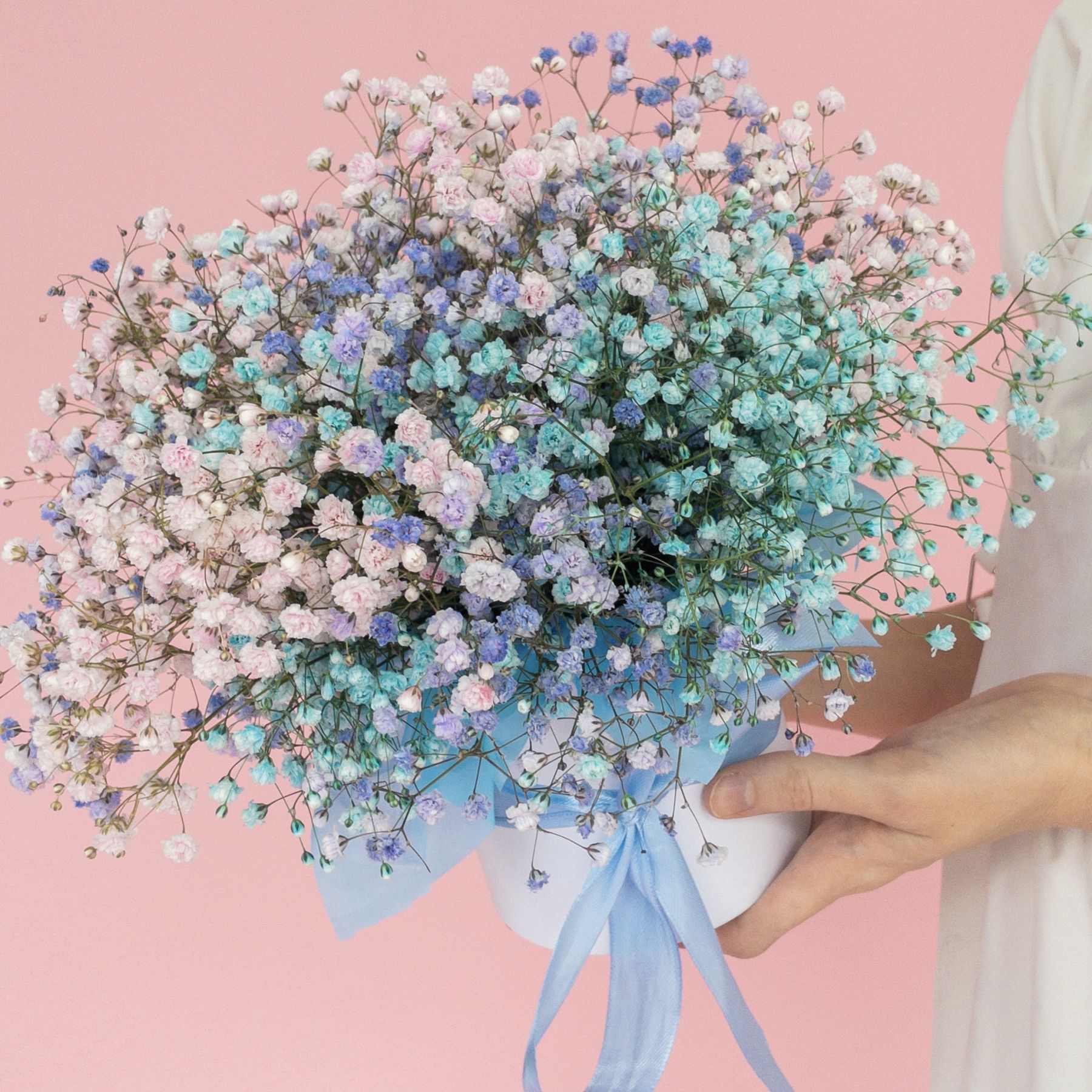 flowers image