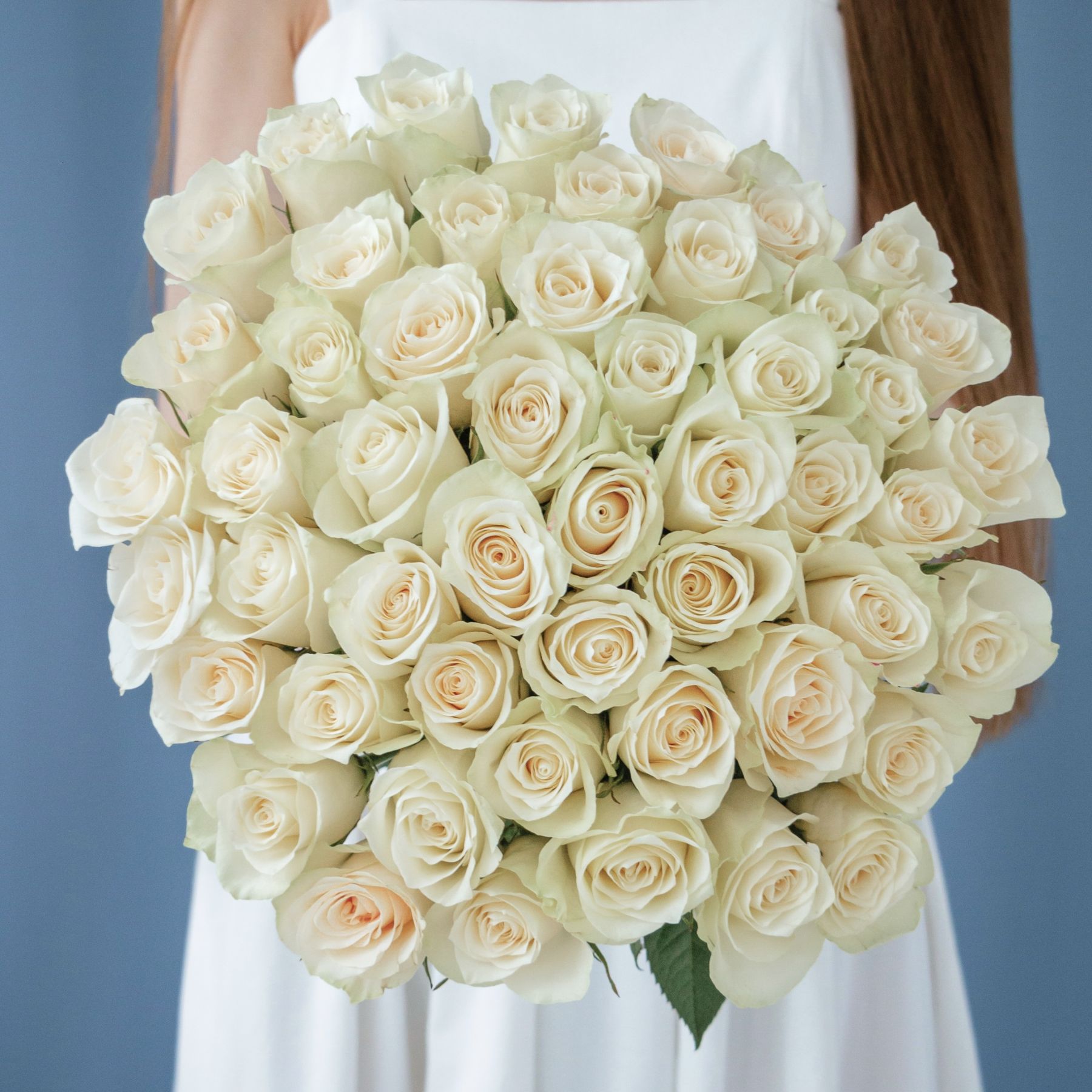 flowers image