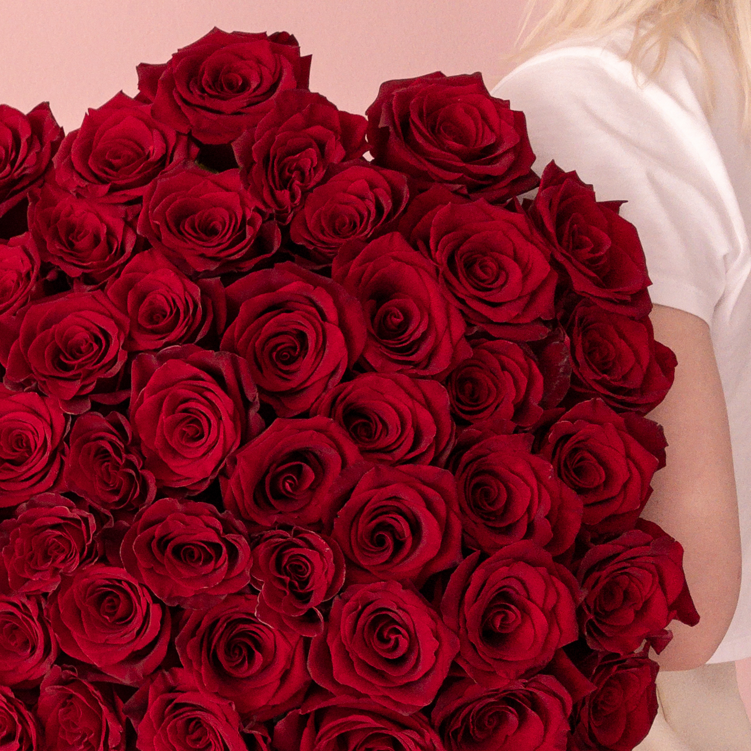 flowers image